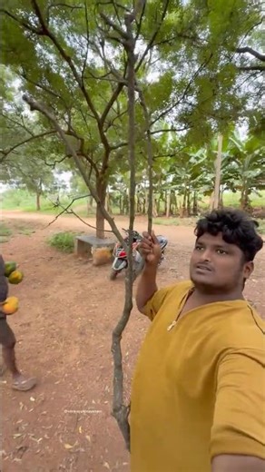 Just Miss ఈ చెట్టు మొక్క నా తల మీద పడేది #venkayyaprayanam