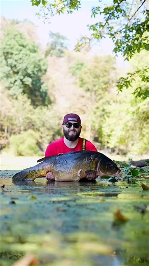 The queen of the lake.. #CarpFishing #Fishing #USA #VassWaders #Nature