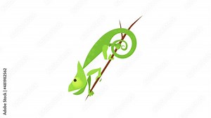Walking chameleon icon animation best cartoon object on white background