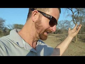 Transforming Our Food Forest: Planting the First Ever Kigelia Africana Sausage Tree!