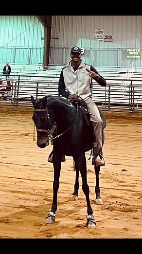 The American Standardbred!!