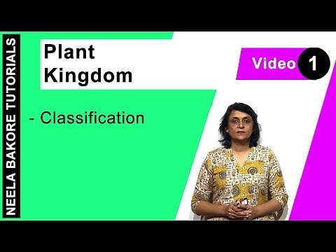 Plant Kingdom | NEET | Classification | Neela Bakore Tutorials