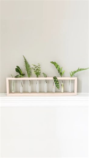 Build your own plant propagation frame with minimal materials