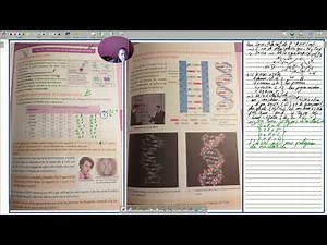 svt: the constituents of DNA and its structure