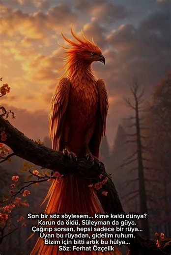 #keşfetbeniöneçıkar #ytdayibenionecikarnolur