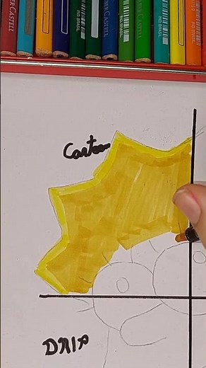 ✨Lisa Simpson em 4 Estilos Diferentes Parte 1✨