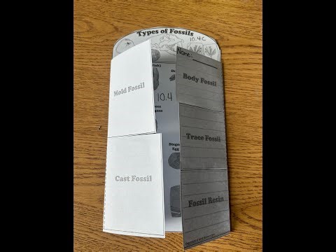 Types of Fossils Foldable