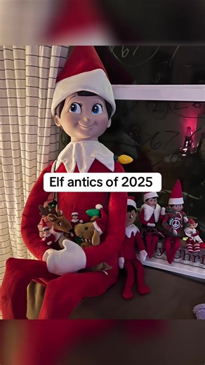 Elf Antics of 2025: A Holiday Celebration
