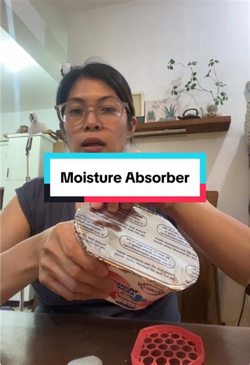 Effective Moisture Absorber Solutions for Your Home