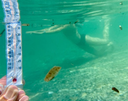 Marcus law only fans her service has provided a very good