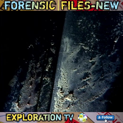 Forensic Files Season 38-Episode 48 - Tutorial Procedures Part 26 | Exploration TV