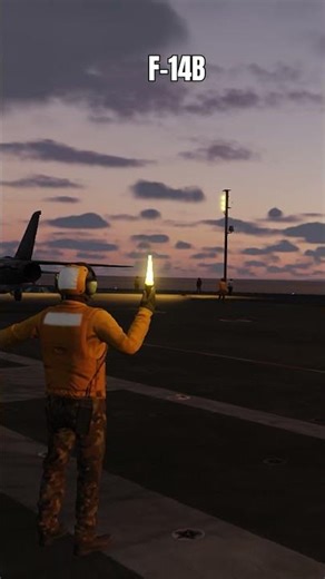 It just Supercarrier and F-14B #dcs #dcsworld #viral