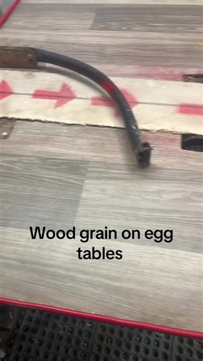 Exploring Wood Grain on Egg Tables from Chicken Farms