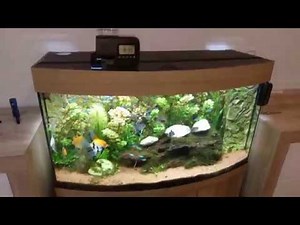 Juwel SmartFeed | Unboxing + TEST |