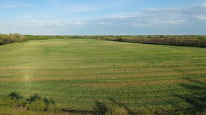 11K views · 25 reactions | WATCH THIS VIDEO: The Rice Family Farm...