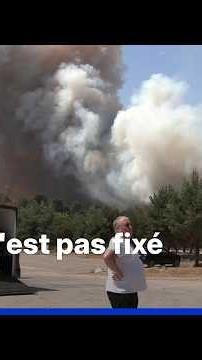 Un nouveau départ de feu dans la forêt de Fontainebleau, deux Canadair supplémentaires en route