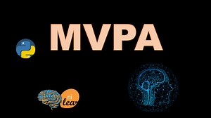 MVPA系列教程-02a Nilearn二元分类 分辨瓢虫和猴子