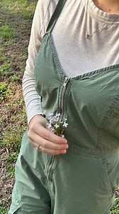 150K views · 1.3K reactions | #homemade #recipes #fromscratch #simplelife #simple #homesteading #homemaker I’m | Anabelle Vangiller | Facebook