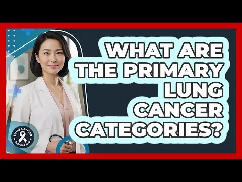 What Are The Primary Lung Cancer Categories?
