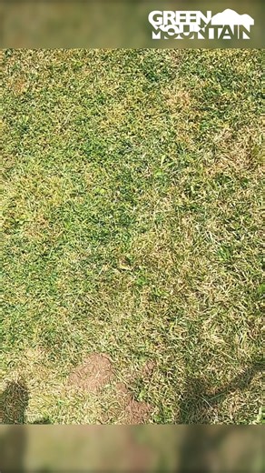 6.3K views · 379 reactions | A beautiful silver pendant found metal detecting #metaldetecting #silver #history #treasurehunt #metaldetector | Green Mountain Metal Detecting | Facebook