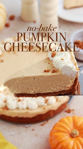 NO-BAKE PUMPKIN CHEESECAKE 🧡 my new favorite Fall dessert, zero baking involved! It has the dreamiest mousse-like texture beautiful spiced pumpkin flavor a Biscoff cookie crust that takes it BEYOND ✨⁣ ⁣ Full recipe is linked in my bio at sugarandsparrow.com/no-bake-pumpkin-cheesecake⁣ ⁣ #pumpkincheesecake #biscoff #pumpkin #nobake #cheesecake #nobakecheesecake #cakedecorating #satisfyingfood #cakesoftiktok #fallbaking #pumpkinspice
