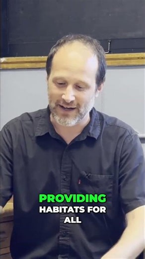 Fungi's HUGE Role in Terrestrial Ecosystem Evolution! ‪@primalbiology‬