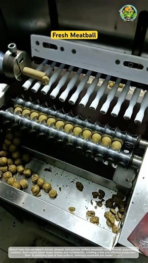 Fresh Meatball Forming and Cutting Process 🍖⚙️