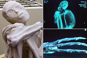 Mysterious three-fingered skeleton found in Peru are NOT human, researchers claim sending alien conspiracy theorists into a frenzy