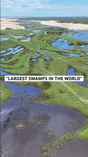 Swamps Adventure Guide - Largest In The World