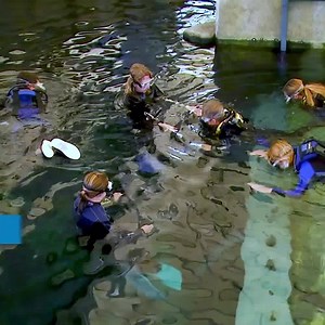 181K views · 1K reactions | Come swim with sharks without being scuba certified and enjoy the adventure of a lifetime. | The Florida Aquarium | Facebook