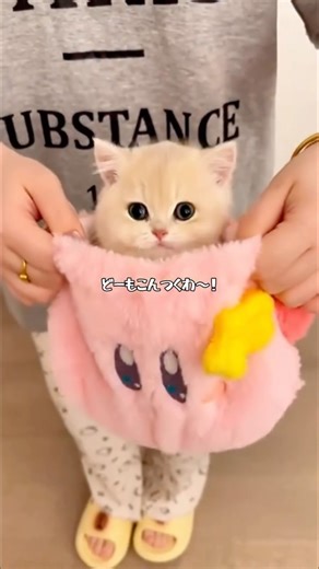 D(私はDくん) on Instagram: "今回は神ん玉と丸大豆だらけ 新曲「翳り花火」MV https://youtu.be/TKNCgdBfFtg 喋るネコ総集編 https://youtu.be/Yt7gcxqPRJ0 【 募集 】 ご自身が飼っているネコの面白動画をインスタDMで送って下さい！ アフレコできそうだったら動画で使わせて頂きます！ ※インスタDMは承認が必要ですので初めはコメントだけお送り下さると助かります。こちらで承認後、動画が送れるようになります。 皆様、いつもネコの動画を送ってくれてありがとうございます！ TikTok（ライブ配信はこちらでしてます！） https://www.tiktok.com/@d_7777x Dのキショイお店 https://suzuri.jp/Dx Twitter https://twitter.com/d_7777x instagram https://www.instagram.com/d_kun7777 お仕事のお問合わせはInstagramのDMにお願いします。 #猫 #ねこ #ネコ #funnycat #cats #ca