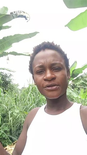 Vidéos de Verbleue Des Nations unies🇬🇦 (@verbleue.des.nati) avec son original - Verbleue Des Nations unies🇬🇦