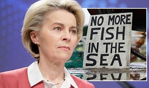 EU shamed: Fishing report that exposes shock impact of supertrawlers