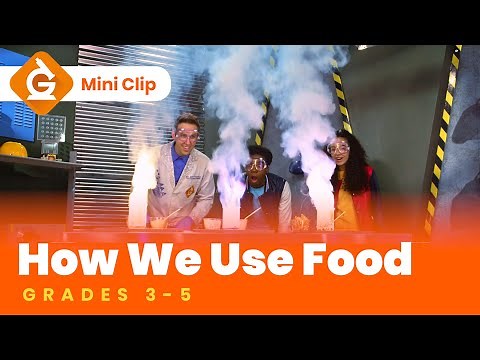 Food Science Video Lesson for Kids | Lesson On the Energy in Food | Grades 3-5 | Mini-Clip
