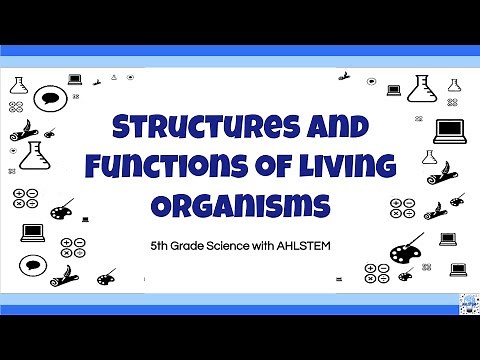 5th Grade Science EOG Review: Structures and Functions of Living Organisms