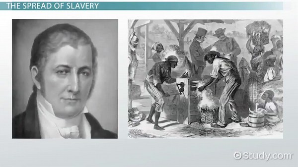 Slavery in America | Cotton & Slave Trade