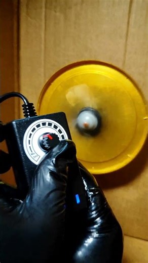 DIY Fan Blade + Speed Control?! 😱 Watch This Spin!