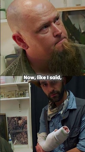 What to Do If You're Bitten by a Funnel Web Spider 🕷️🚑