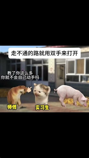 走不通的路就用双手打开￼＃猫meme #内容过于真实 #猫meme小剧场 #cat #迷恋#萌宠#funny #貓 #pets #萌寵 #animals #治癒小貓