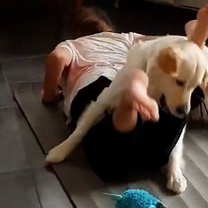 Dog joins girl during yoga workout