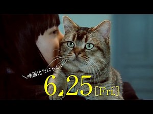 Kento Yamazaki stars in "The Door into Summer - To the Future Where You Are" special video "Pete ...