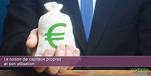 Capitaux propres : pr�sentation de la notion