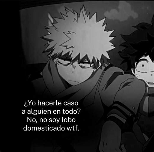 Understanding the Woof Woof Phenomenon in Pet Communication