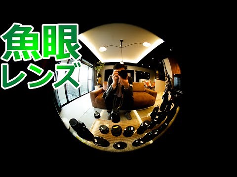 【初心者必見】魚眼レンズで撮ってみた～特徴と使い方～【写真】