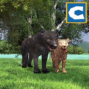 Panther Family Simulator