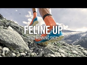 FELINE UP | Trail runnning shoe | DYNAFIT