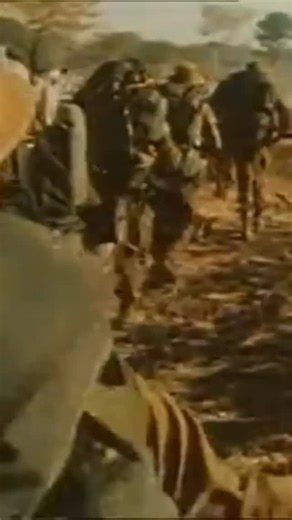 Deep in the Angolan bush, every SADF patrol was a test of skill, patience, and teamwork. Soldiers faced harsh terrain, constant vigilance, and the unknown at every turn. One veteran said, “The smallest detail could mean the difference between safety and disaster.” These patrols forged bonds and stories that last decades, offering a rare glimpse into life on the frontlines. #SAMHChannel, #SADFHistory, #MilitaryHistory, #SouthernAfrica, #AngolaConflict, #BushPatrol, #VeteranStories, #HistoricalMil