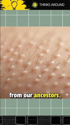 Why Do Humans beings Get Goosebumps? #shorts #shortsvideo #facts #science #interestingfacts