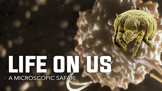 Life on Us: A Microscopic Safari (2014)