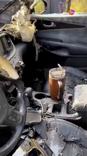 Multiphase Digital | The car burned but Stanley Thermos did not  #stanley #marketing #multiphasedigital | Instagram